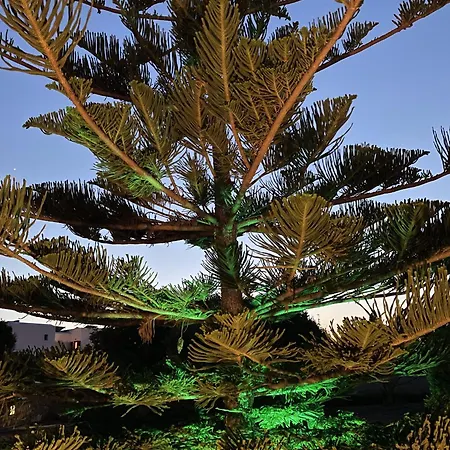 Mare Monte Studios Апартаменты *