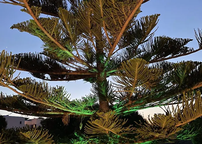 Mare Monte Naxos Apartment *